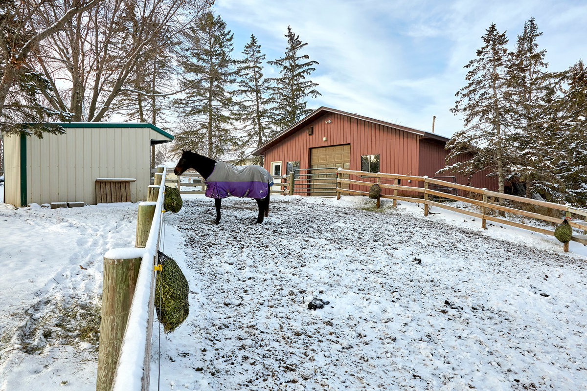 Blanketed horse stands in paddock beside brown barn during winter.