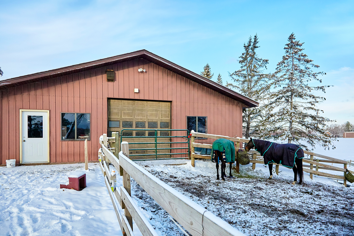 Horses in front of a barn eating hay in a Minnesota winter