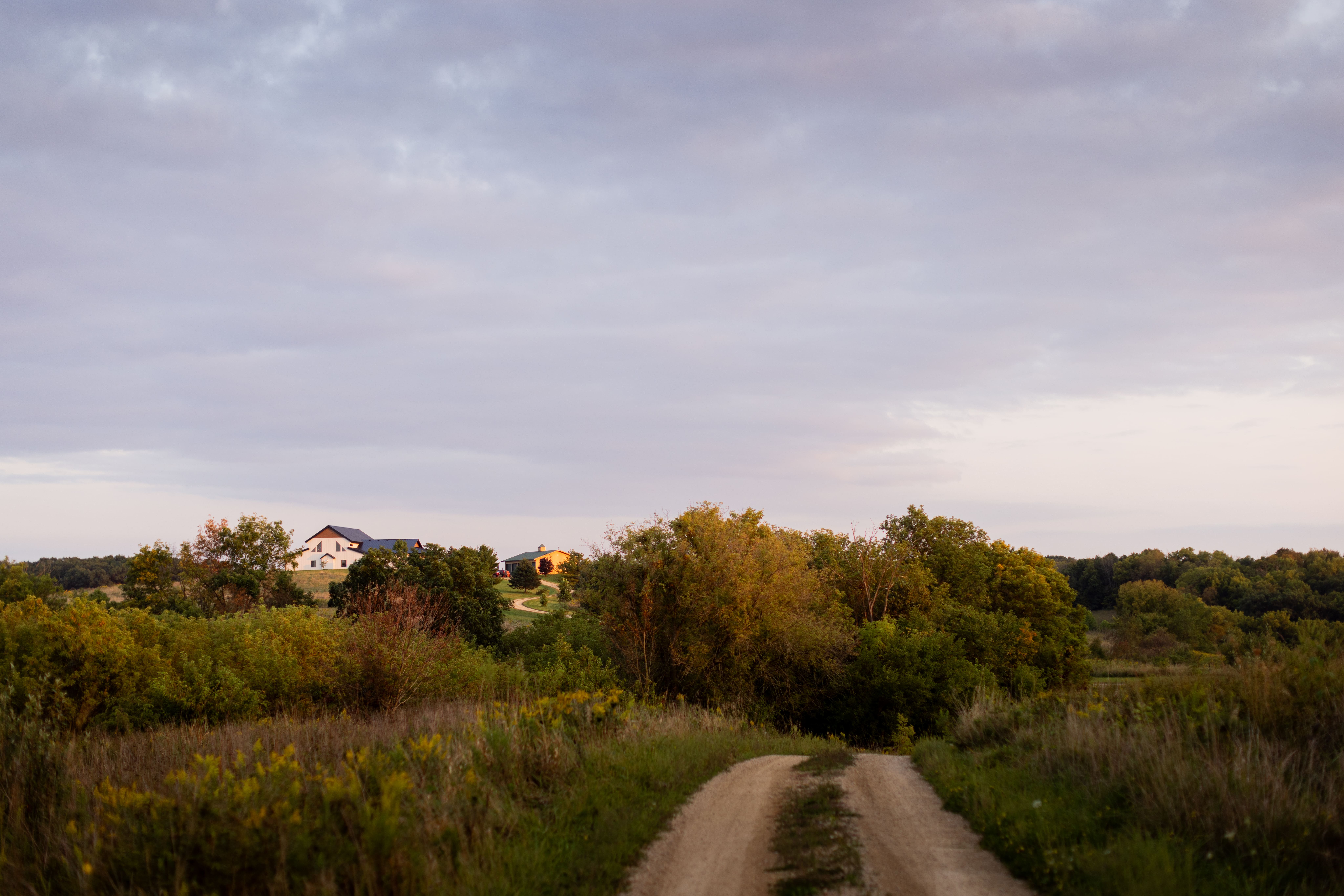 Gravel driveway leading to a countryside barndominium surrounded by trees at sunset.