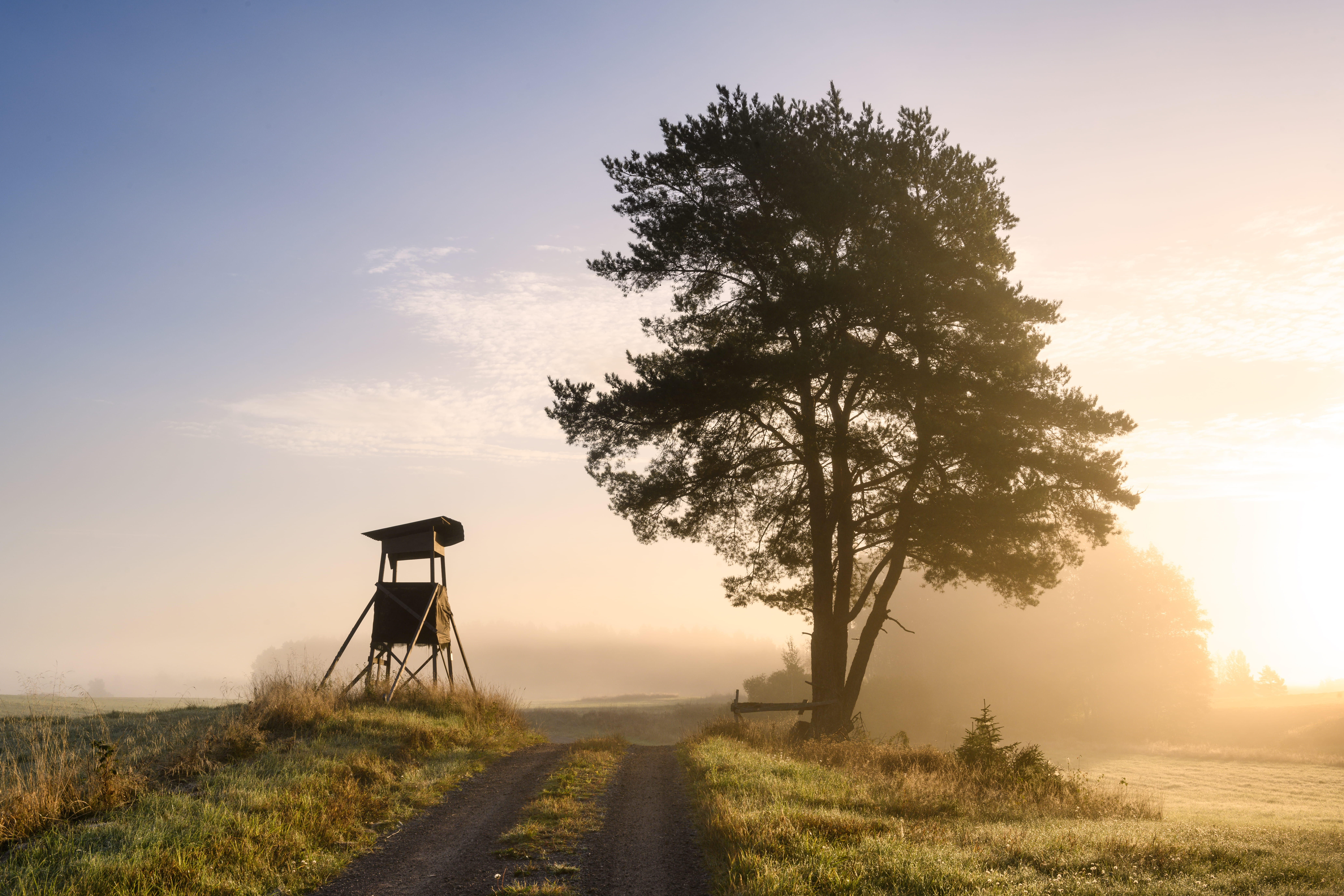 Hunting stand near a field at sunrise.