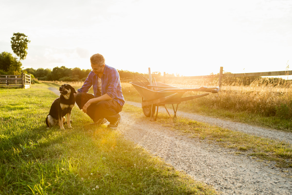 Man kneeling to pet his dog on a rural path with warm sunset light.