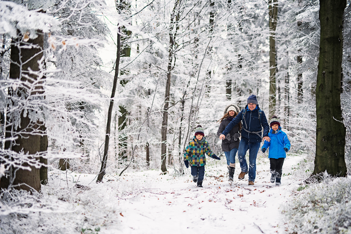 Family walking together through a snowy forest trail on a winter day.