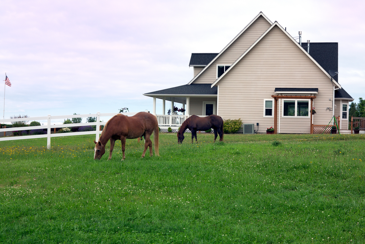Two horses eating grass in front of a country house